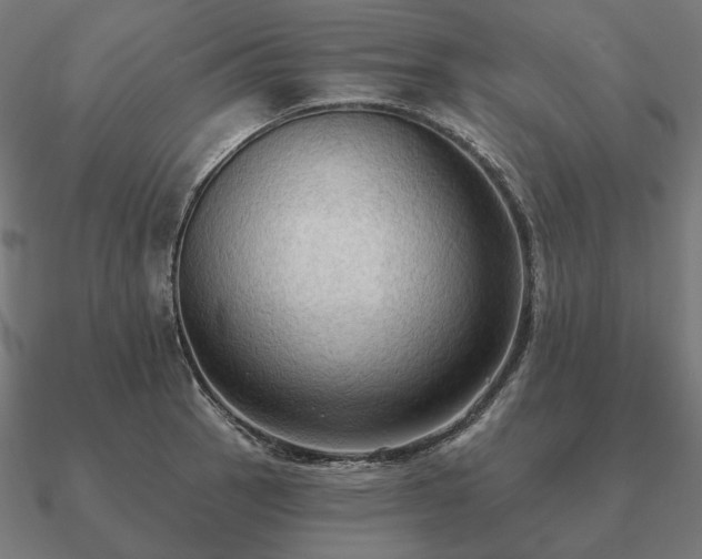 X0000090911137200708061517