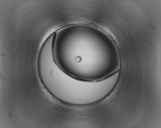 X0000090911138200708061517