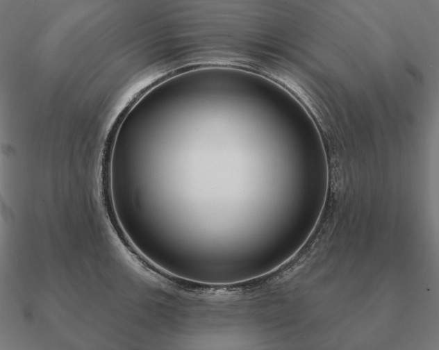 X0000090911139200708061517