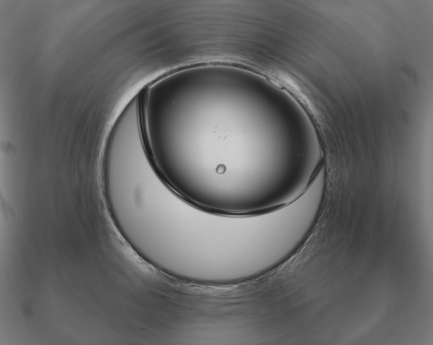 X0000090911140200708061518