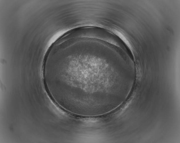 X0000090911141200708061518