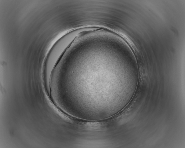 X0000090911142200708061518