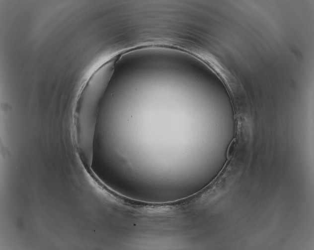 X0000090911143200708061518