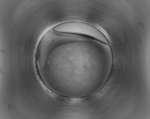 X0000090911144200708061518