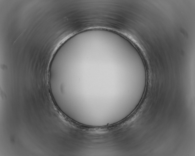 X0000090911145200708061518