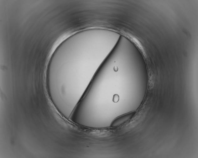 X0000090911146200708061518