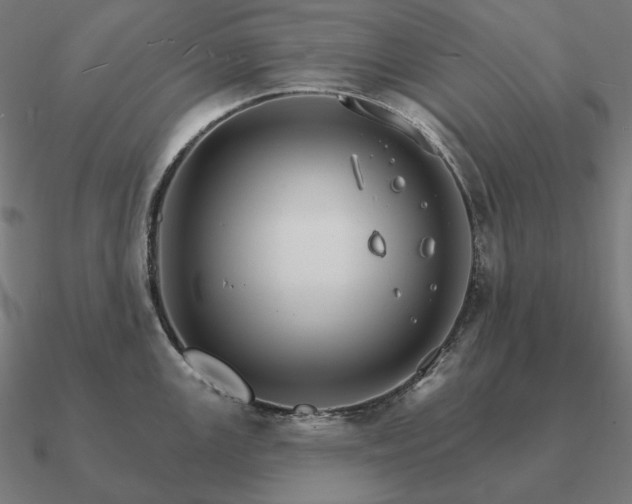 X0000090911147200708061518