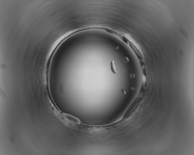 X0000090911148200708061518