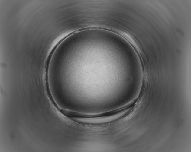 X0000090911149200708061518