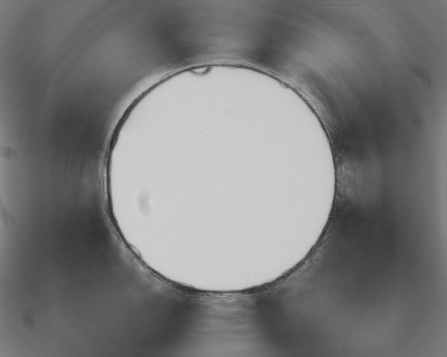 X0000090911150200708061518