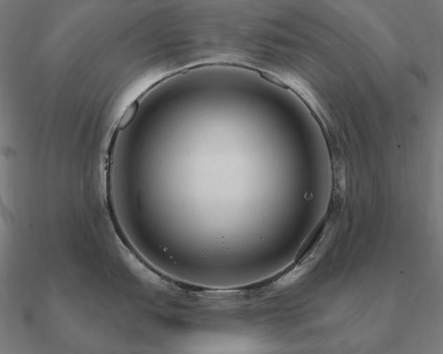 X0000090911151200708061518