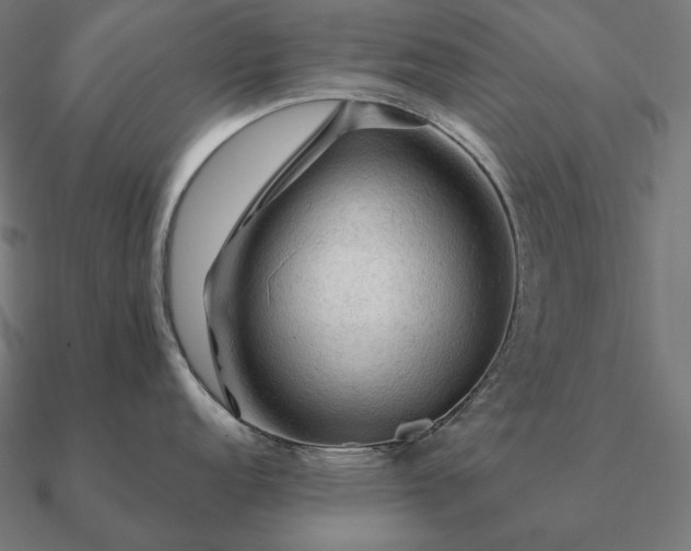 X0000090911152200708061518