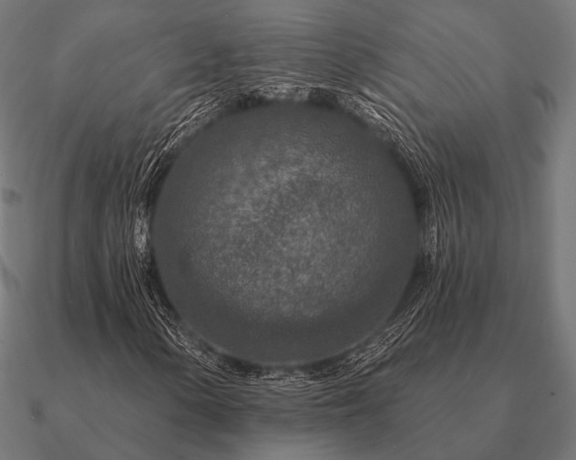 X0000090911154200708061517