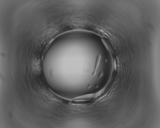 X0000090911156200708061517