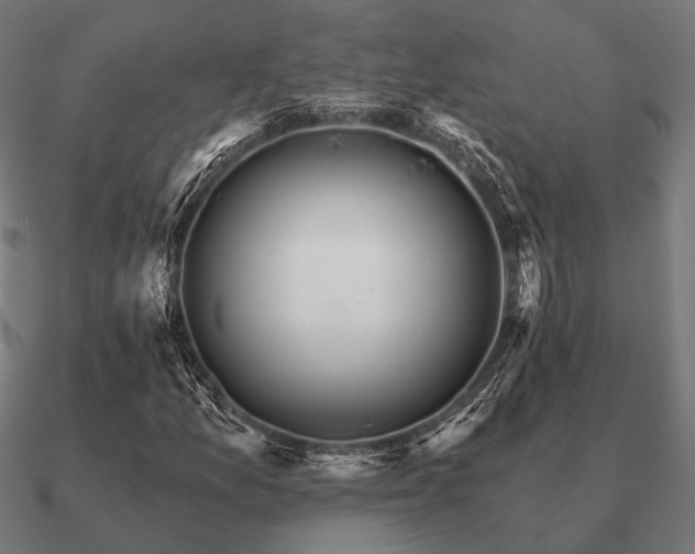 X0000090911157200708061517