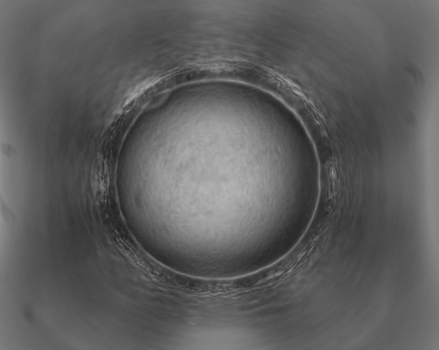 X0000090911158200708061517