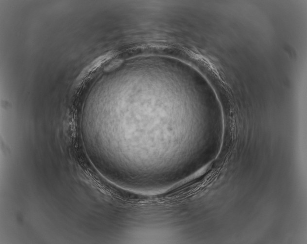 X0000090911159200708061517