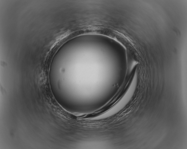 X0000090911160200708061517