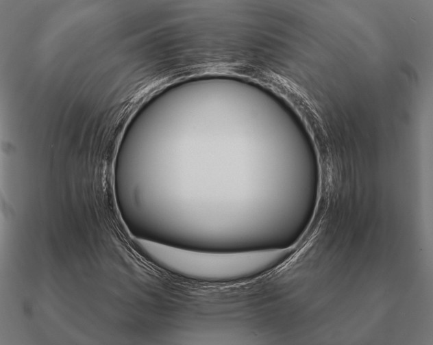 X0000090911161200708061517