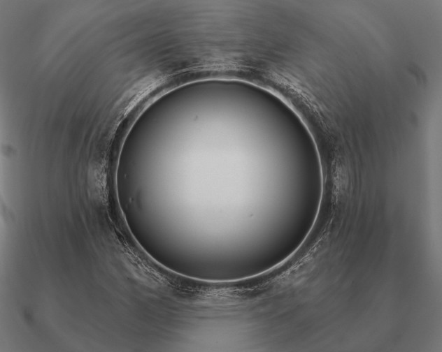 X0000090911162200708061517