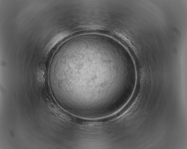 X0000090911163200708061517