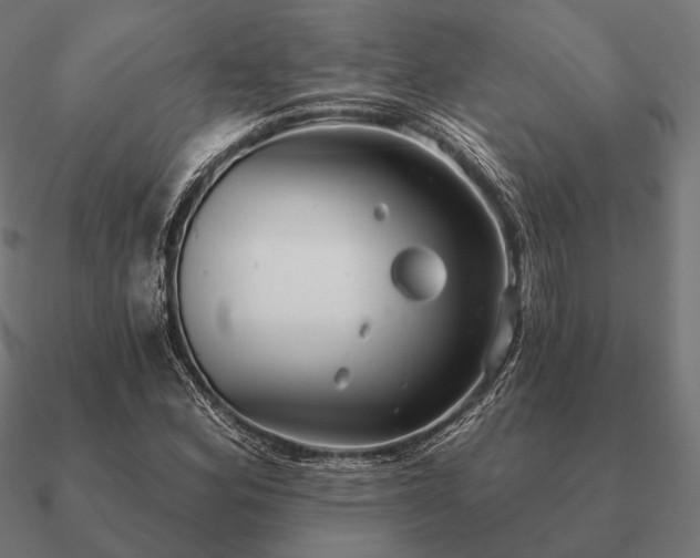 X0000090911164200708061517