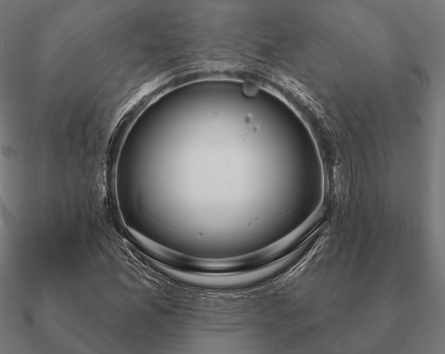 X0000090911165200708061517