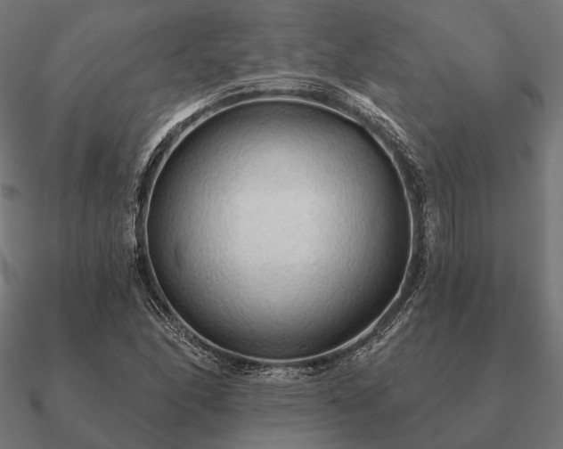 X0000090911166200708061517