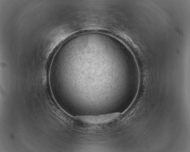 X0000090911167200708061517