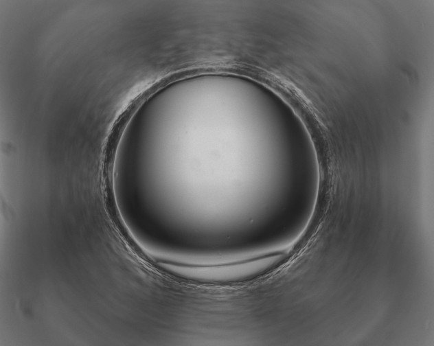 X0000090911168200708061517