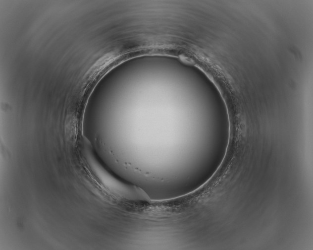 X0000090911169200708061517