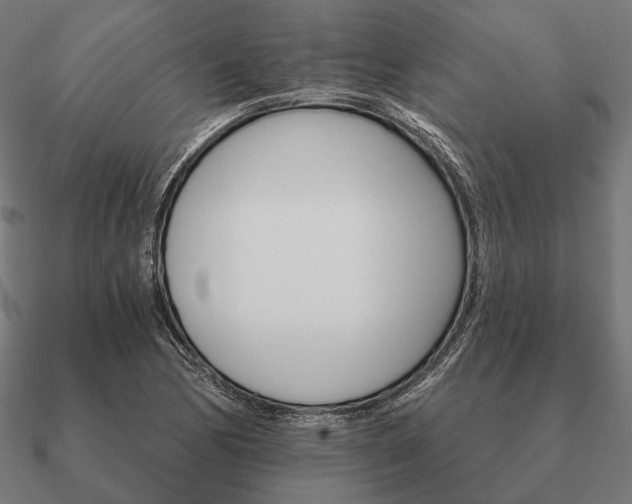 X0000090911170200708061517