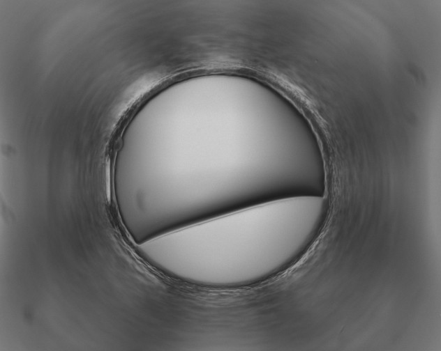 X0000090911171200708061517