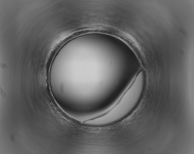 X0000090911172200708061517