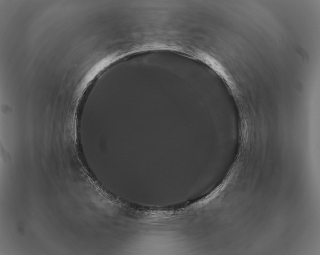 X0000090911173200708061517