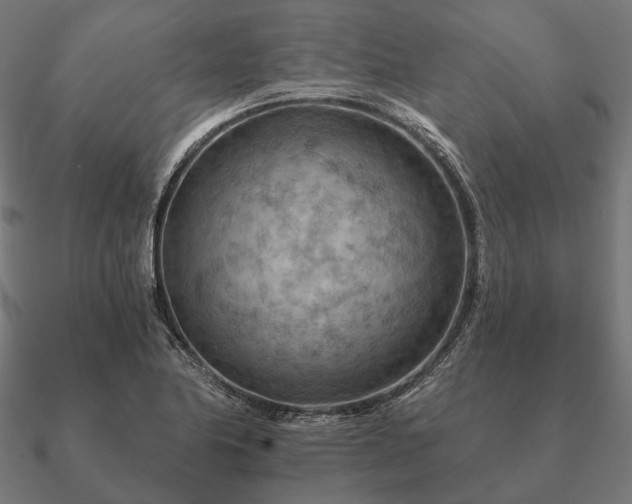 X0000090911174200708061517