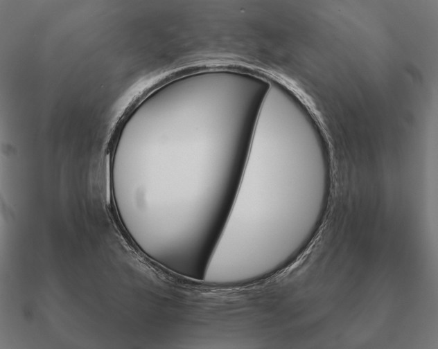 X0000090911175200708061517