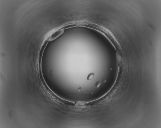 X0000090911176200708061517