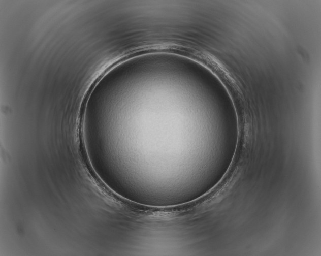 X0000090911178200708061517