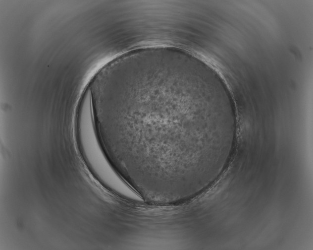 X0000090911179200708061517