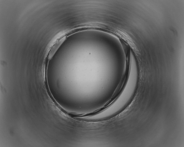 X0000090911180200708061517