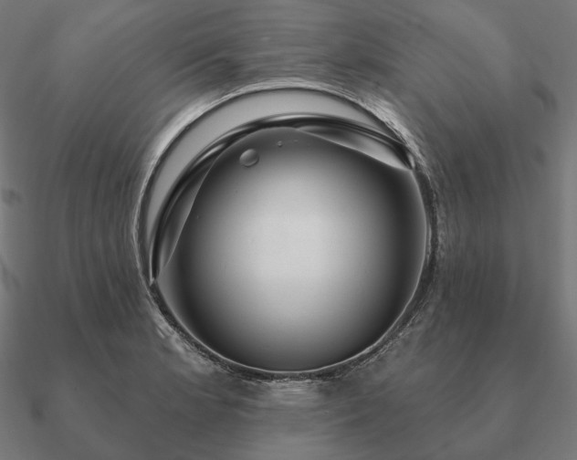 X0000090911181200708061517