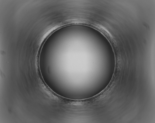 X0000090911182200708061517