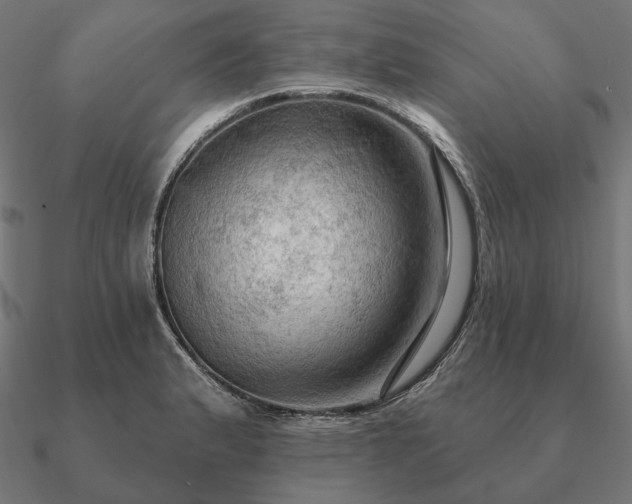 X0000090911183200708061517