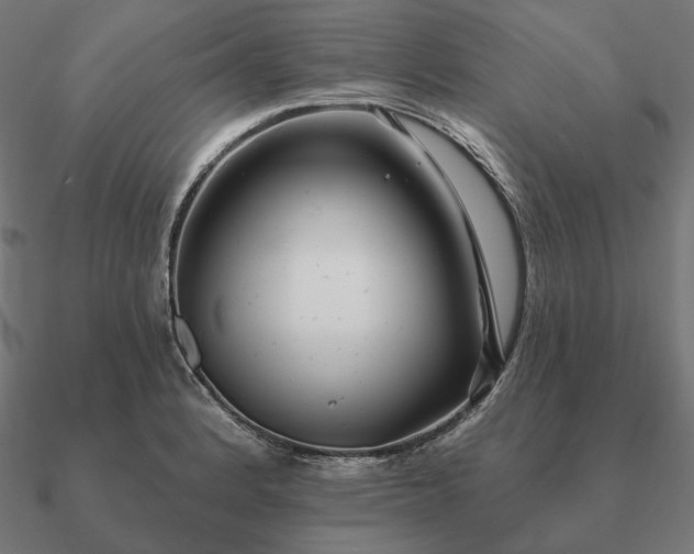 X0000090911184200708061517