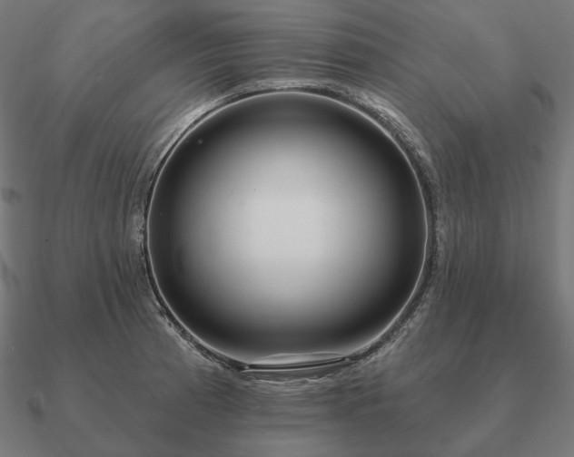 X0000090911185200708061517