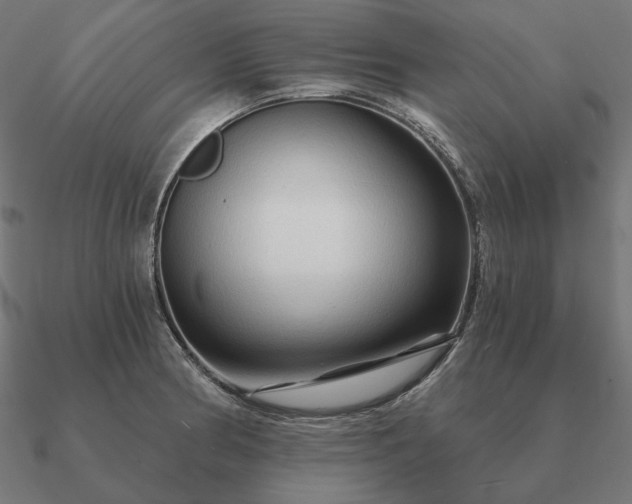 X0000090911186200708061517