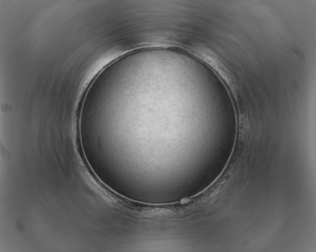 X0000090911187200708061517