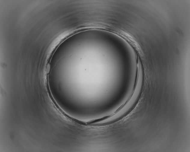 X0000090911188200708061517