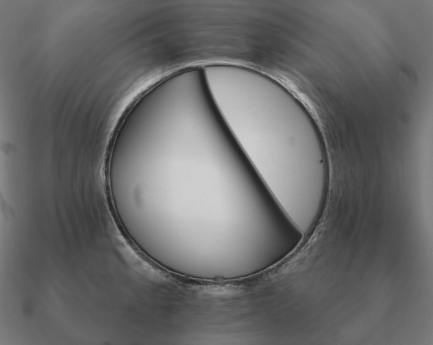 X0000090911189200708061517